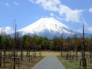 富士散策公園