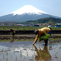 平成やまなし冨嶽二十七景