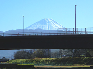 富士見大橋