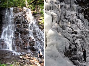 母の白滝