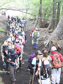 吉田口登山道の５合目付近