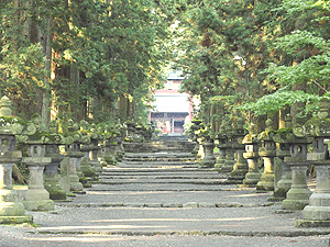 北口本宮冨士浅間神社の参道