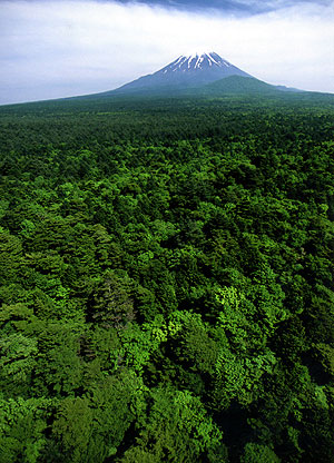 富士山