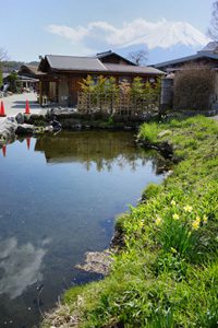 忍野八海・鏡池