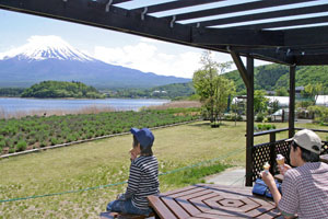 河口湖自然生活館