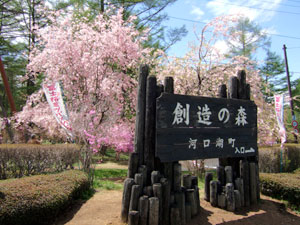 河口湖創造の森 富士山net ふじさんネット 富士山情報 まるごとおまかせ