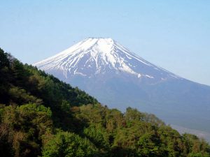 杓子山からの富士