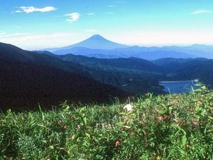 大菩薩嶺からの富士