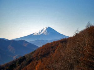 柳沢峠からの富士