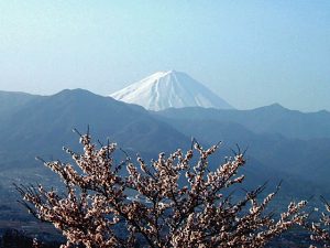 笛吹川フルーツ公園からの富士