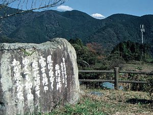 西行峠からの富士