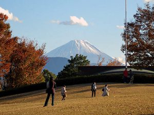 県立美術館からの富士