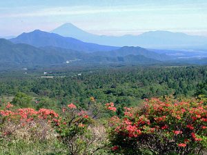 美し森からの富士 