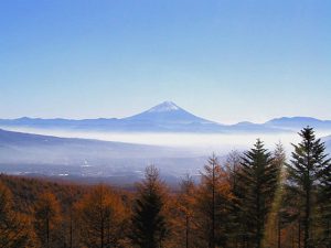 観音平からの富士