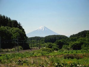 三峰の丘からの富士