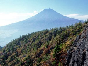 三ツ峠からの富士