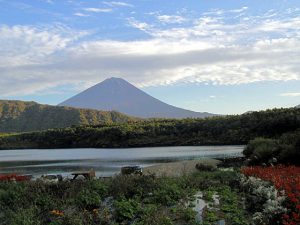 西湖畔・根場浜からの富士