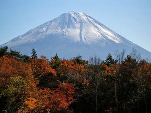 野鳥の森公園からの富士