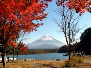 精進湖からの富士