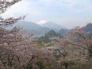 勝山城公園