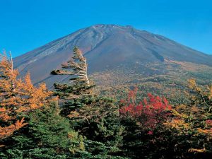 富士山御庭・奥庭