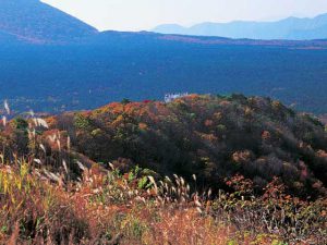 紅葉台と青木ケ原樹海