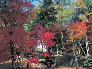 山中湖文学の森