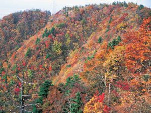 石割山ハイキングコース