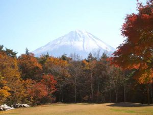 野鳥の森公園 