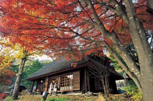 西湖いやしの里根場