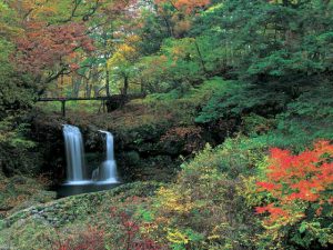 鐘山の滝