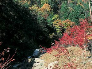 三ツ峠ハイキングコース神鈴の滝周辺