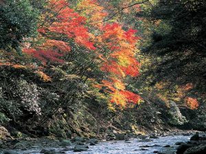 秋山川流域