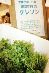 クレソン