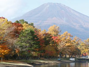 紅葉と富士の好ポイント