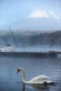 白く凍える山中湖