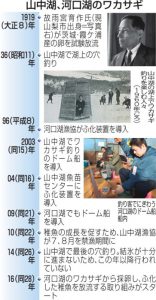 山中湖、河口湖のワカサギ