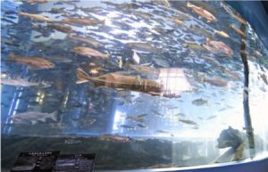 さかな公園内にある県立富士湧水の里水族館