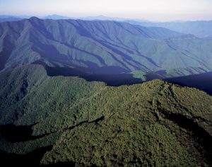 扇山（おうぎやま）