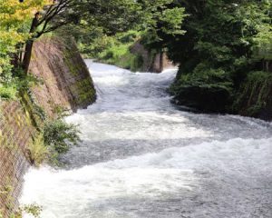 河口湖からの放水路（右奥）と宮川の合流地点。放出された湖水の影響で増水している＝富士吉田市内