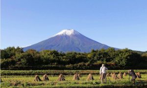 「初冠雪」が観測された富士山=富士吉田市内