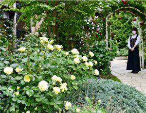 色とりどりの花を咲かせているバラ＝富士河口湖町河口（２日撮影）