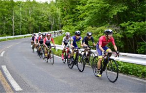 【自転車ロードレース　Ｍｔ．富士ヒルクライム】力強くペダルを踏み込む選手たち＝富士山有料道路（富士スバルライン）