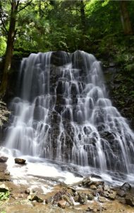 勢いよく水が流れる「母の白滝」＝富士河口湖町河口