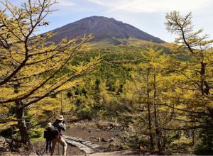 富士山５合目 紅葉始まる