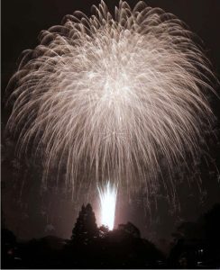 ３年ぶりに村の夜空を彩った花火＝道志村