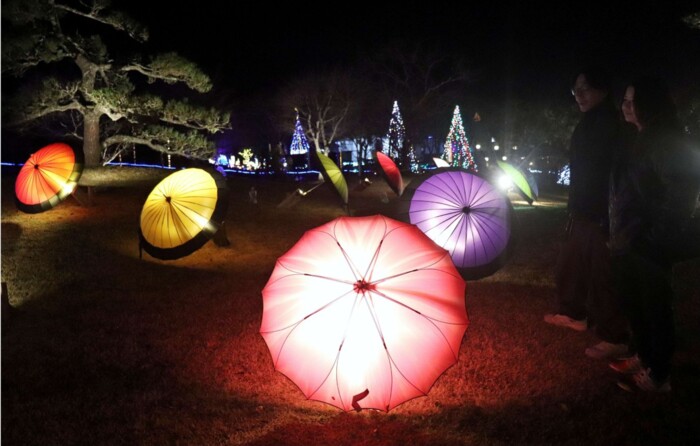 The Illuminated Park　閃光の庭　なかにしけふこ This Is Your Last Chance To See Golden Gate Park's LED Forest